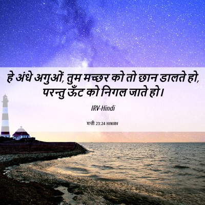 Picture 06 - मत्ती 23:24 HINIRV - हे अंधे अगुओं, तुम - Bible Verse Picture
