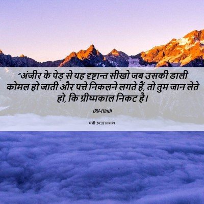 Picture 06 - मत्ती 24:32 HINIRV - “अंजीर के पेड़ से - Bible Verse Picture