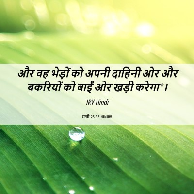 Picture 06 - मत्ती 25:33 HINIRV - और वह भेड़ों को - Bible Verse Picture