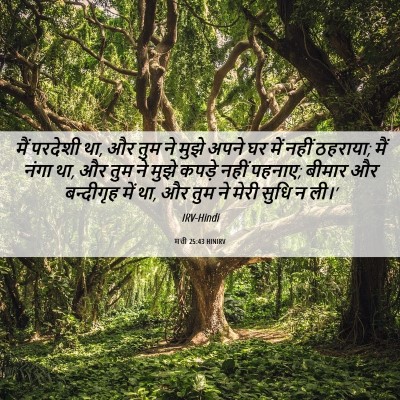 Picture 06 - मत्ती 25:43 HINIRV - मैं परदेशी था, और - Bible Verse Picture