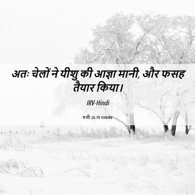 Picture 06 - मत्ती 26:19 HINIRV - अतः चेलों ने यीशु - Bible Verse Picture