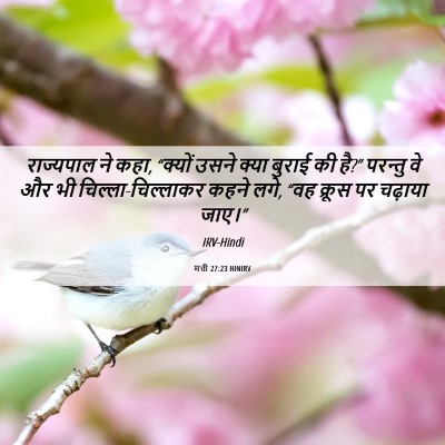 Picture 06 - मत्ती 27:23 HINIRV - राज्यपाल ने कहा, - Bible Verse Picture