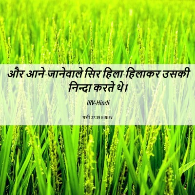 Picture 06 - मत्ती 27:39 HINIRV - और आने-जानेवाले - Bible Verse Picture