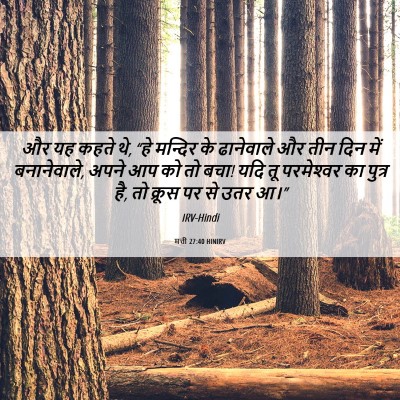 Picture 06 - मत्ती 27:40 HINIRV - और यह कहते थे, “हे - Bible Verse Picture