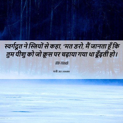 Picture 06 - मत्ती 28:5 HINIRV - स्वर्गदूत ने - Bible Verse Picture