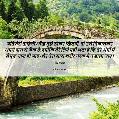 Picture 06 - मत्ती 5:29 HINIRV - यदि तेरी दाहिनी - Bible Verse Picture