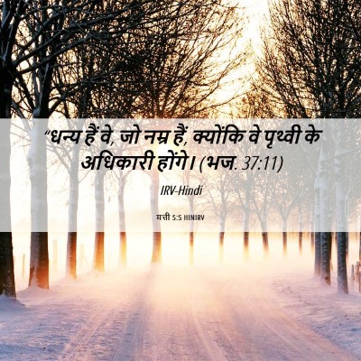 Picture 06 - मत्ती 5:5 HINIRV - “धन्य हैं वे, जो - Bible Verse Picture