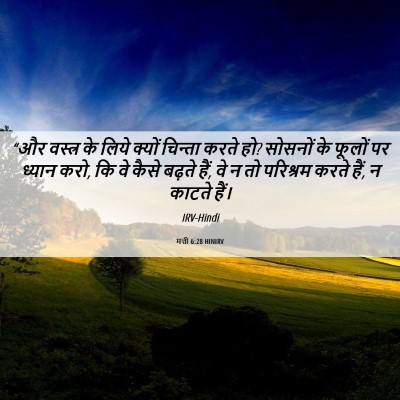 Picture 06 - मत्ती 6:28 HINIRV - “और वस्त्र के लिये - Bible Verse Picture
