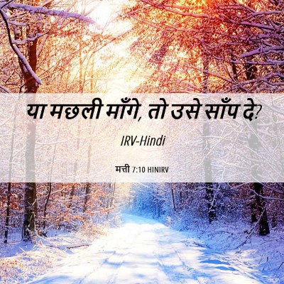 Picture 06 - मत्ती 7:10 HINIRV - या मछली माँगे, तो - Bible Verse Picture