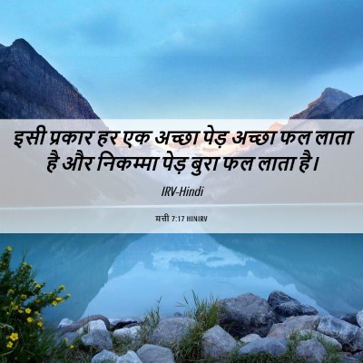 Picture 06 - मत्ती 7:17 HINIRV - इसी प्रकार हर एक - Bible Verse Picture