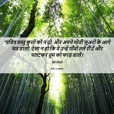 Picture 06 - मत्ती 7:6 HINIRV - “पवित्र वस्तु - Bible Verse Picture