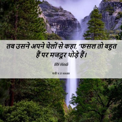 Picture 06 - मत्ती 9:37 HINIRV - तब उसने अपने चेलों - Bible Verse Picture