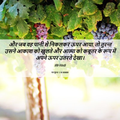 Picture 06 - मरकुस 1:10 HINIRV - और जब वह पानी से - Bible Verse Picture
