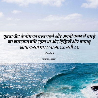 Picture 06 - मरकुस 1:6 HINIRV - यूहन्ना ऊँट के रोम - Bible Verse Picture