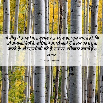 Picture 06 - मरकुस 10:42 HINIRV - तो यीशु ने उनको पास - Bible Verse Picture