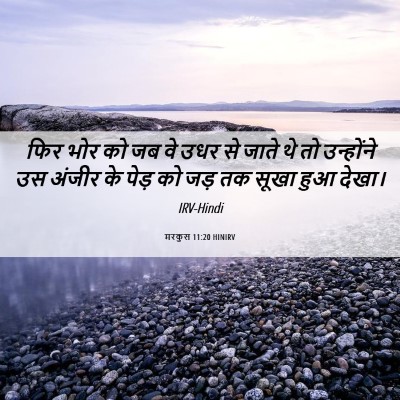 Picture 06 - मरकुस 11:20 HINIRV - फिर भोर को जब वे - Bible Verse Picture