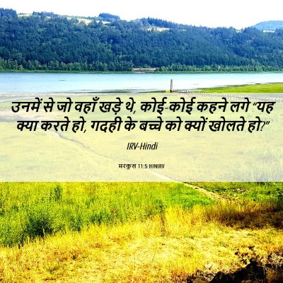 Picture 06 - मरकुस 11:5 HINIRV - उनमें से जो वहाँ - Bible Verse Picture