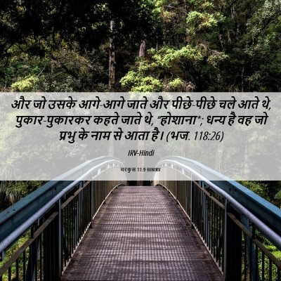 Picture 06 - मरकुस 11:9 HINIRV - और जो उसके आगे-आगे - Bible Verse Picture