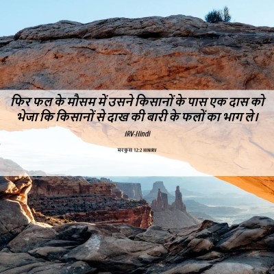 Picture 06 - मरकुस 12:2 HINIRV - फिर फल के मौसम में - Bible Verse Picture