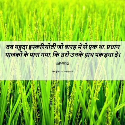 Picture 06 - मरकुस 14:10 HINIRV - तब यहूदा - Bible Verse Picture