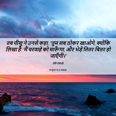 Picture 06 - मरकुस 14:27 HINIRV - तब यीशु ने उनसे - Bible Verse Picture