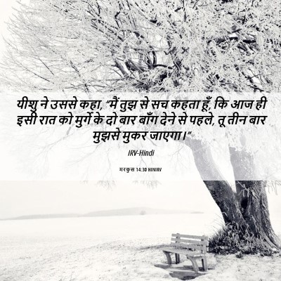 Picture 06 - मरकुस 14:30 HINIRV - यीशु ने उससे कहा, - Bible Verse Picture