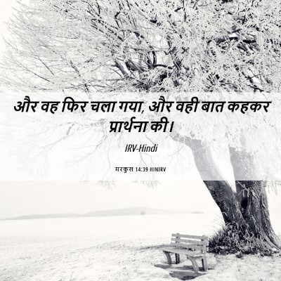 Picture 06 - मरकुस 14:39 HINIRV - और वह फिर चला गया, - Bible Verse Picture