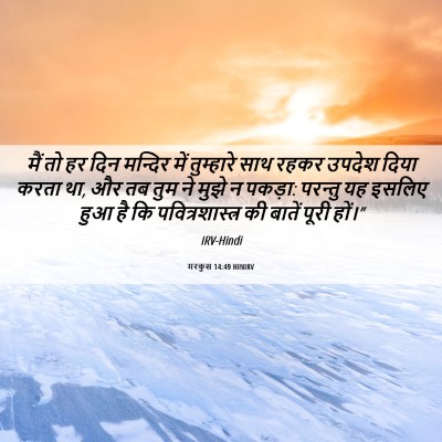 Picture 06 - मरकुस 14:49 HINIRV - मैं तो हर दिन - Bible Verse Picture