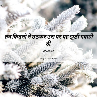 Picture 06 - मरकुस 14:57 HINIRV - तब कितनों ने उठकर - Bible Verse Picture
