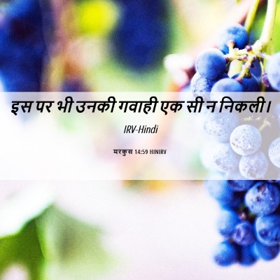 Picture 06 - मरकुस 14:59 HINIRV - इस पर भी उनकी गवाही - Bible Verse Picture