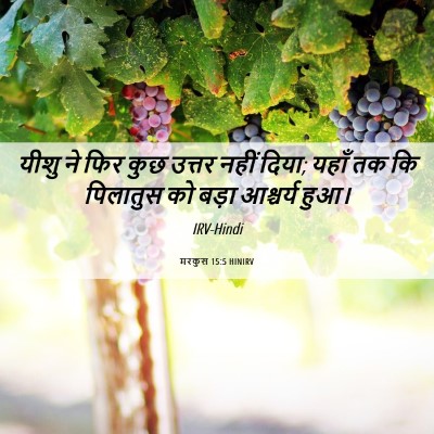 Picture 06 - मरकुस 15:5 HINIRV - यीशु ने फिर कुछ - Bible Verse Picture