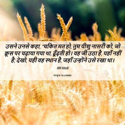 Picture 06 - मरकुस 16:6 HINIRV - उसने उनसे कहा, - Bible Verse Picture