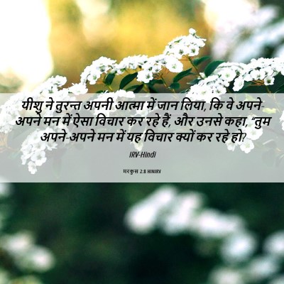 Picture 06 - मरकुस 2:8 HINIRV - यीशु ने तुरन्त - Bible Verse Picture
