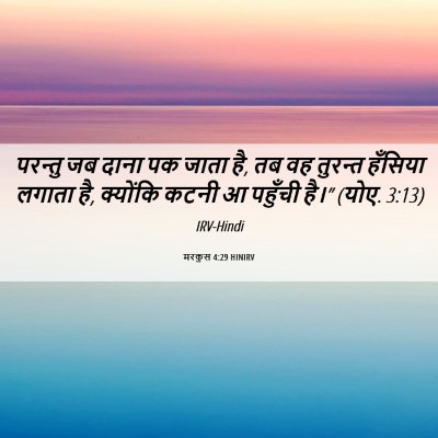 Picture 06 - मरकुस 4:29 HINIRV - परन्तु जब दाना पक - Bible Verse Picture