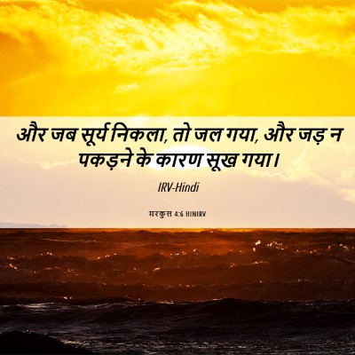 Picture 06 - मरकुस 4:6 HINIRV - और जब सूर्य निकला, - Bible Verse Picture