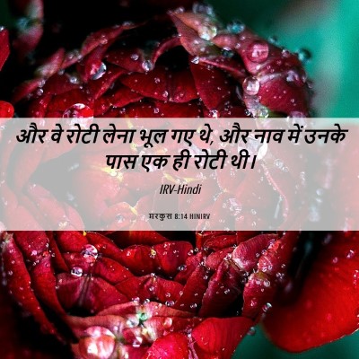 Picture 06 - मरकुस 8:14 HINIRV - और वे रोटी लेना भूल - Bible Verse Picture