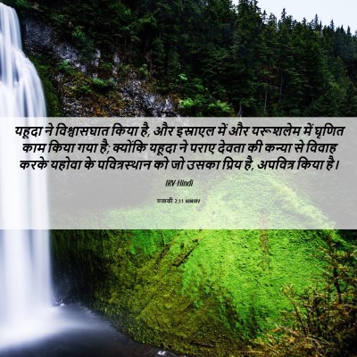 Picture 06 - मलाकी 2:11 HINIRV - यहूदा ने - Bible Verse Picture