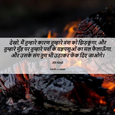 Picture 06 - मलाकी 2:3 HINIRV - देखो, मैं तुम्हारे - Bible Verse Picture
