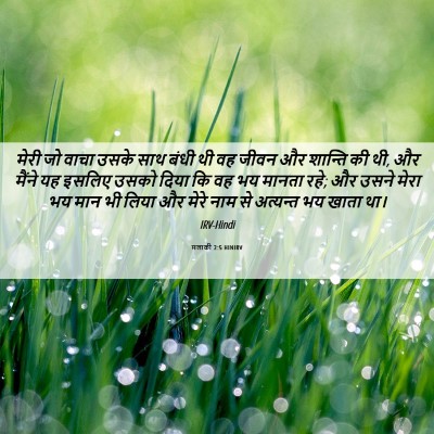 Picture 06 - मलाकी 2:5 HINIRV - मेरी जो वाचा उसके - Bible Verse Picture