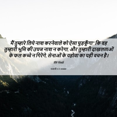 Picture 06 - मलाकी 3:11 HINIRV - मैं तुम्हारे लिये - Bible Verse Picture
