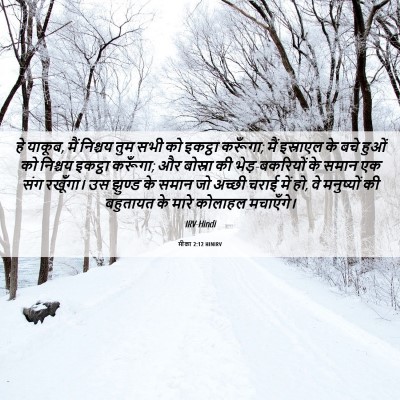Picture 06 - मीका 2:12 HINIRV - हे याकूब, मैं - Bible Verse Picture