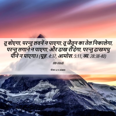 Picture 06 - मीका 6:15 HINIRV - तू बोएगा, परन्तु - Bible Verse Picture