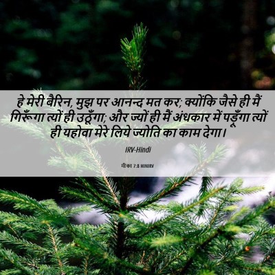 Picture 06 - मीका 7:8 HINIRV - हे मेरी बैरिन, मुझ - Bible Verse Picture