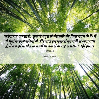 Picture 06 - यशायाह 1:11 HINIRV - यहोवा यह कहता है, - Bible Verse Picture