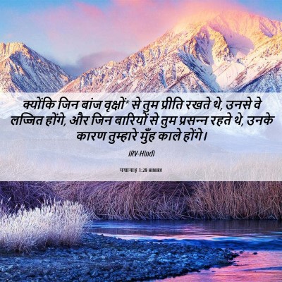 Picture 06 - यशायाह 1:29 HINIRV - क्योंकि जिन बांज - Bible Verse Picture