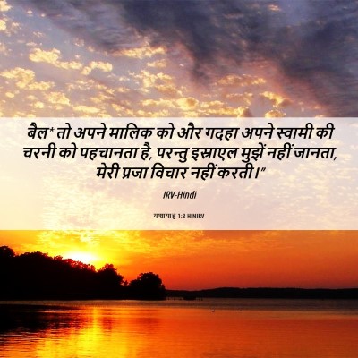 Picture 06 - यशायाह 1:3 HINIRV - बैल* तो अपने मालिक - Bible Verse Picture