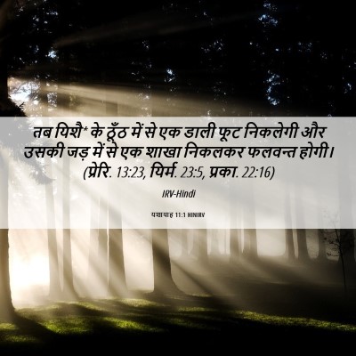 Picture 06 - यशायाह 11:1 HINIRV - तब यिशै* के ठूँठ - Bible Verse Picture