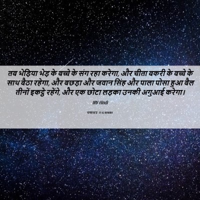 Picture 06 - यशायाह 11:6 HINIRV - तब भेड़िया भेड़ के - Bible Verse Picture