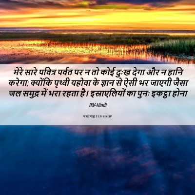 Picture 06 - यशायाह 11:9 HINIRV - मेरे सारे पवित्र - Bible Verse Picture