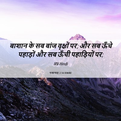 Picture 06 - यशायाह 2:14 HINIRV - बाशान के सब बांज - Bible Verse Picture